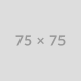 75×75 75x75